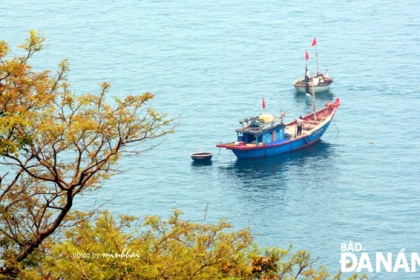 POINT TO SON TRA: GO TO THE PENINSULA TO SEE FLOWERS