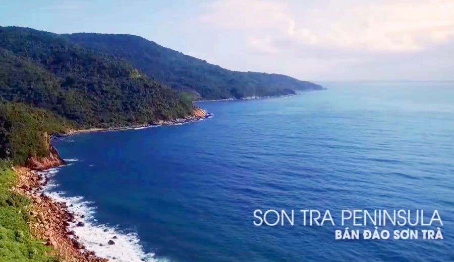 Visit Son Tra Peninsular