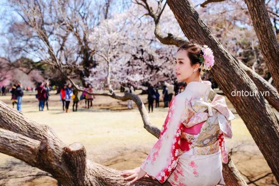 Tour du lịch Nhật bản khởi hành từ Đà Nẵng trọn gói giá rẻ