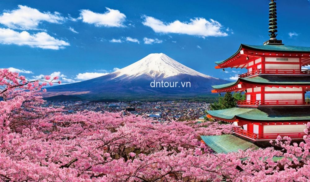 Núi phú sỹ nhật bản, tour đi nhật bản từ Đà Nẵng