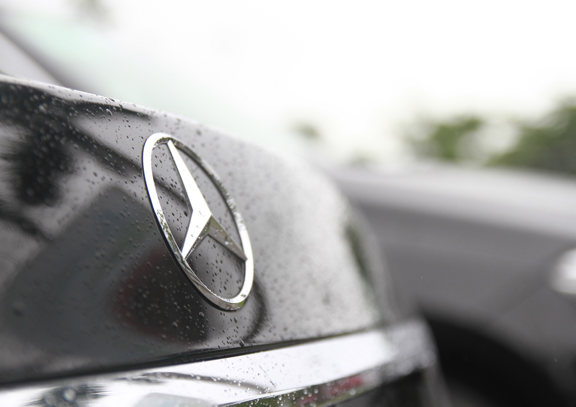 VIP car rental and price, Danang VIP car for rent VIP car rental and price, Danang VIP car for rent